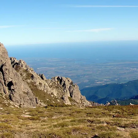 Confortable A 38 M² Jardin Spacieux Semesterbostad Santa-Lucia-di-Moriani