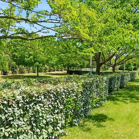 Confortable A 38 M² Jardin Spacieux