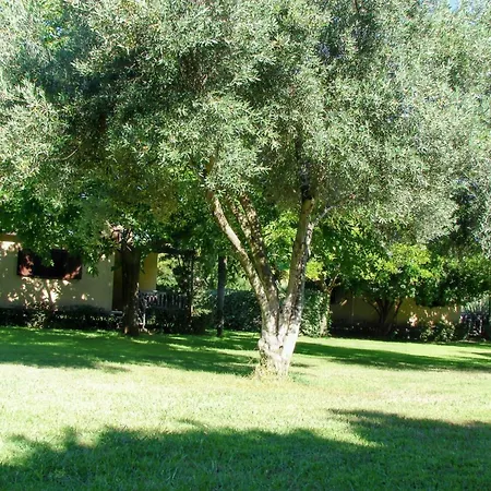 Semesterbostad Confortable A 38 M² Jardin Spacieux *