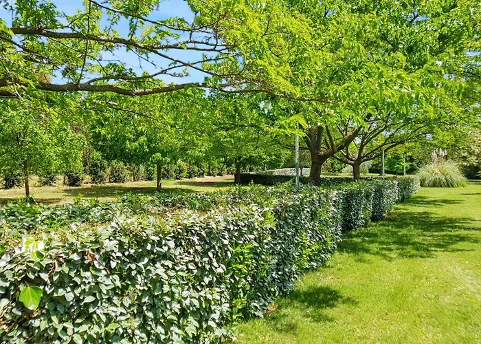 Confortable A 38 M² Jardin Spacieux