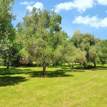 Confortable A 38 M² Jardin Spacieux * Santa-Lucia-di-Moriani