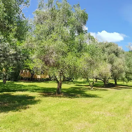Confortable A 38 M² Jardin Spacieux Holiday home Santa-Lucia-di-Moriani