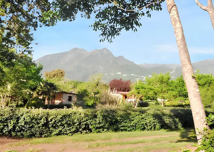 Confortable A 38 M² Jardin Spacieux